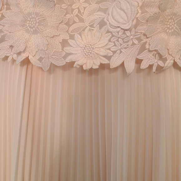 Coast Darianna Pink Lace Pleated Dress - Picture 4 of 4